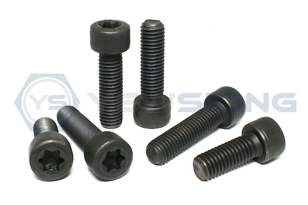 Torx Head Socket Screw