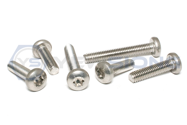 Torx Head Socket Screw
