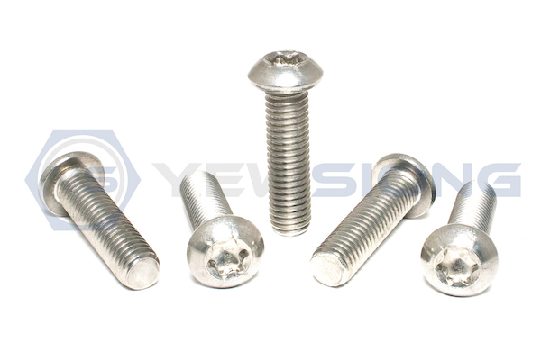 Torx Head Socket Screw