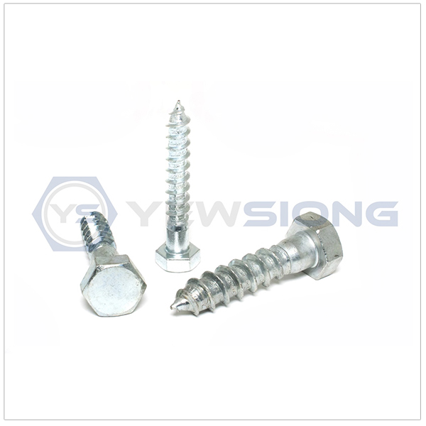 Coach Screw