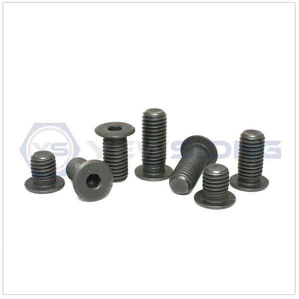 Extra Low Head Socket Cap Screw