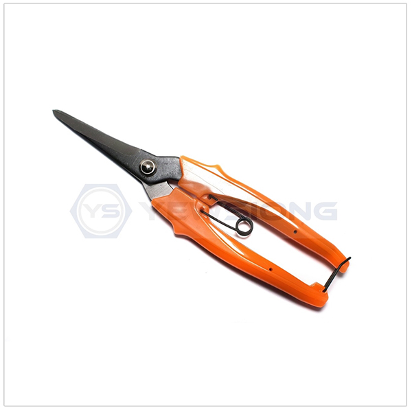 Pruning Shear