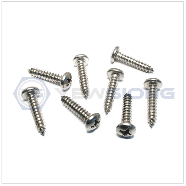Self Tapping Screw