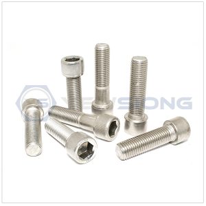 Socket Screw