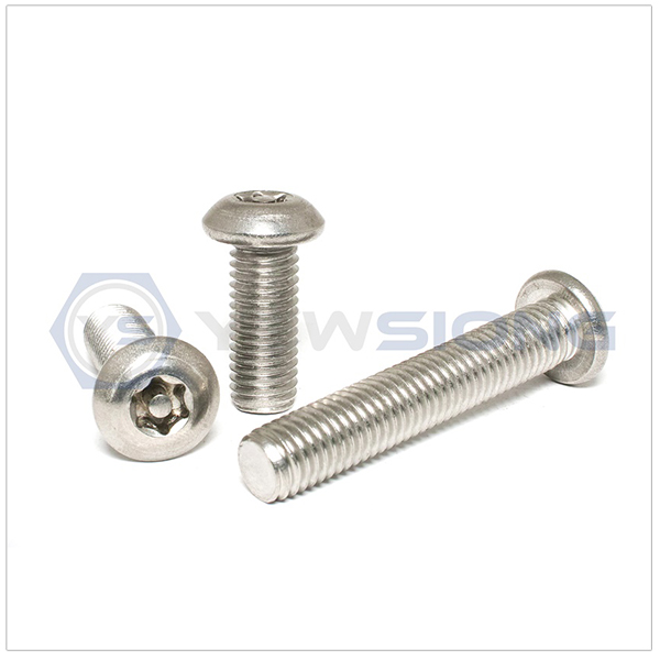 Tamper Resistant Screw