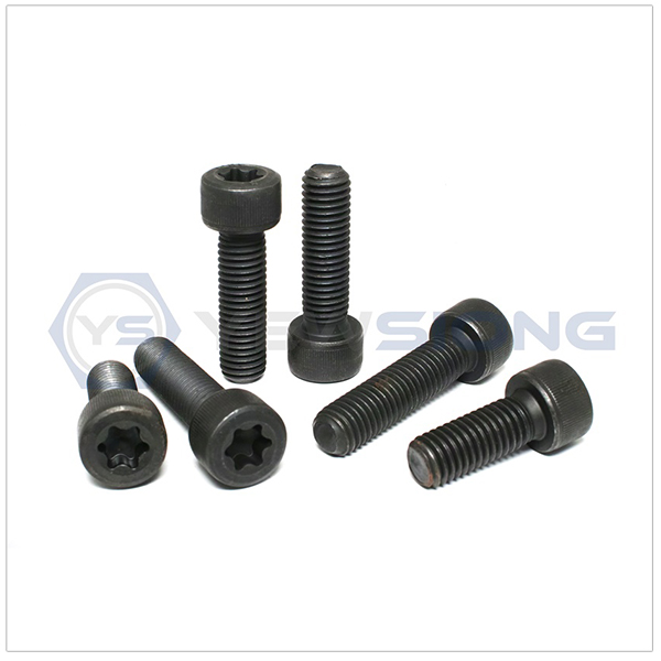 Torx Head Socket Screw
