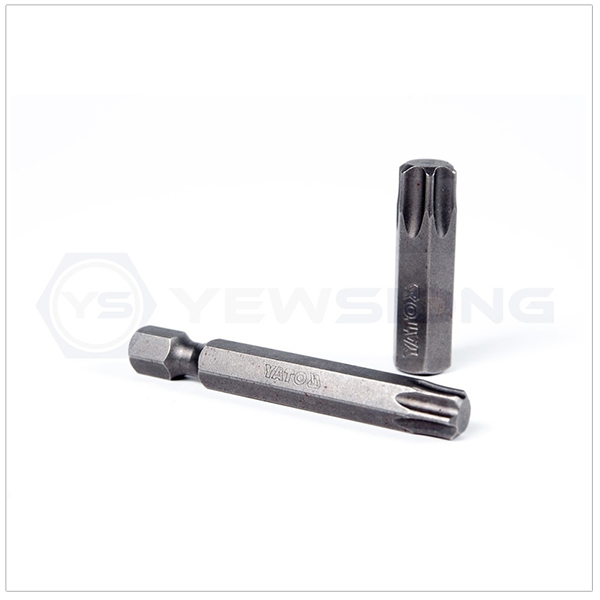 Torx Power Bit
